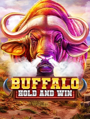 Buffalo Hold and Win