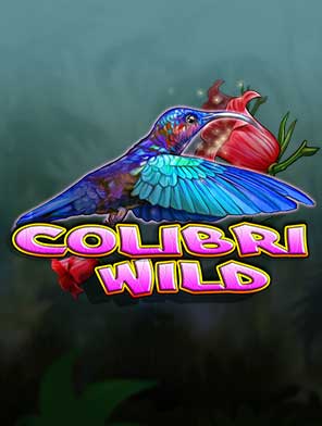 Colibri Wild