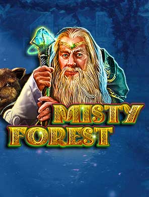 Misty Forest