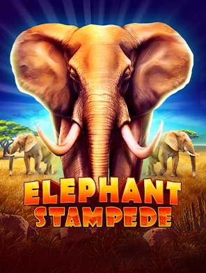 Elephant Stampede