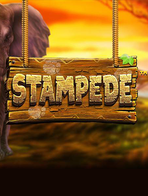 Stampede